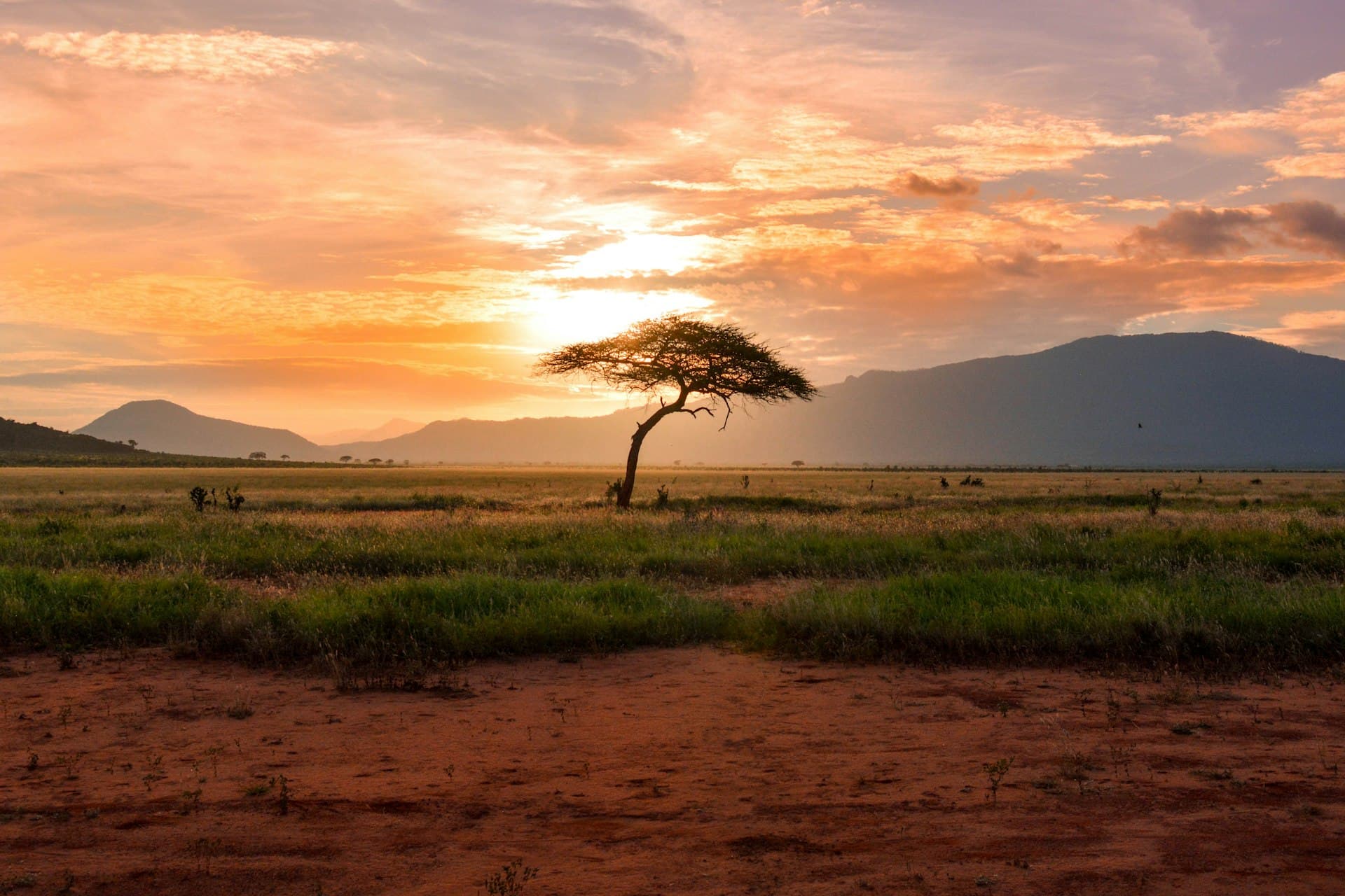 Moçambique